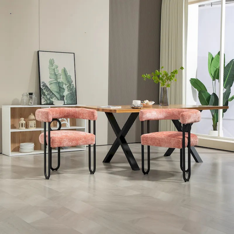 Chaises de salle à manger d'appoint modernes en tissu pour salon (lot de 2)